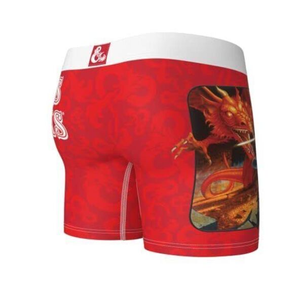 Swag Dungeons & Dragons Boxer Brief - Small - Picture 3 of 6